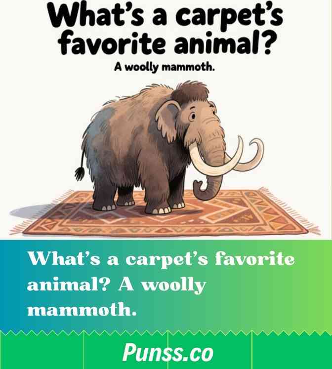 Question and Answer Carpet Puns